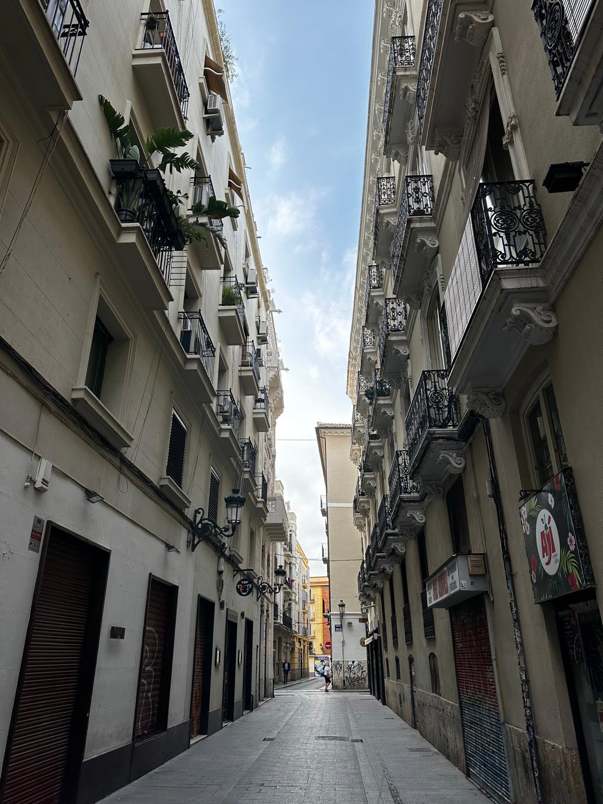 КВАРТИРА В АРЕНДУ В ЦЕНТРЕ ВАЛЕНСИИ